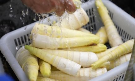 帮父亲线上卖笋，92年小伙半年营业额破千万